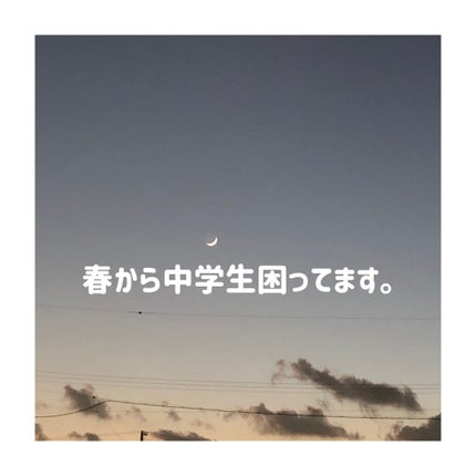 ナチュラル チークN/CEZANNE/パウダーチークを使ったクチコミ(1枚目)