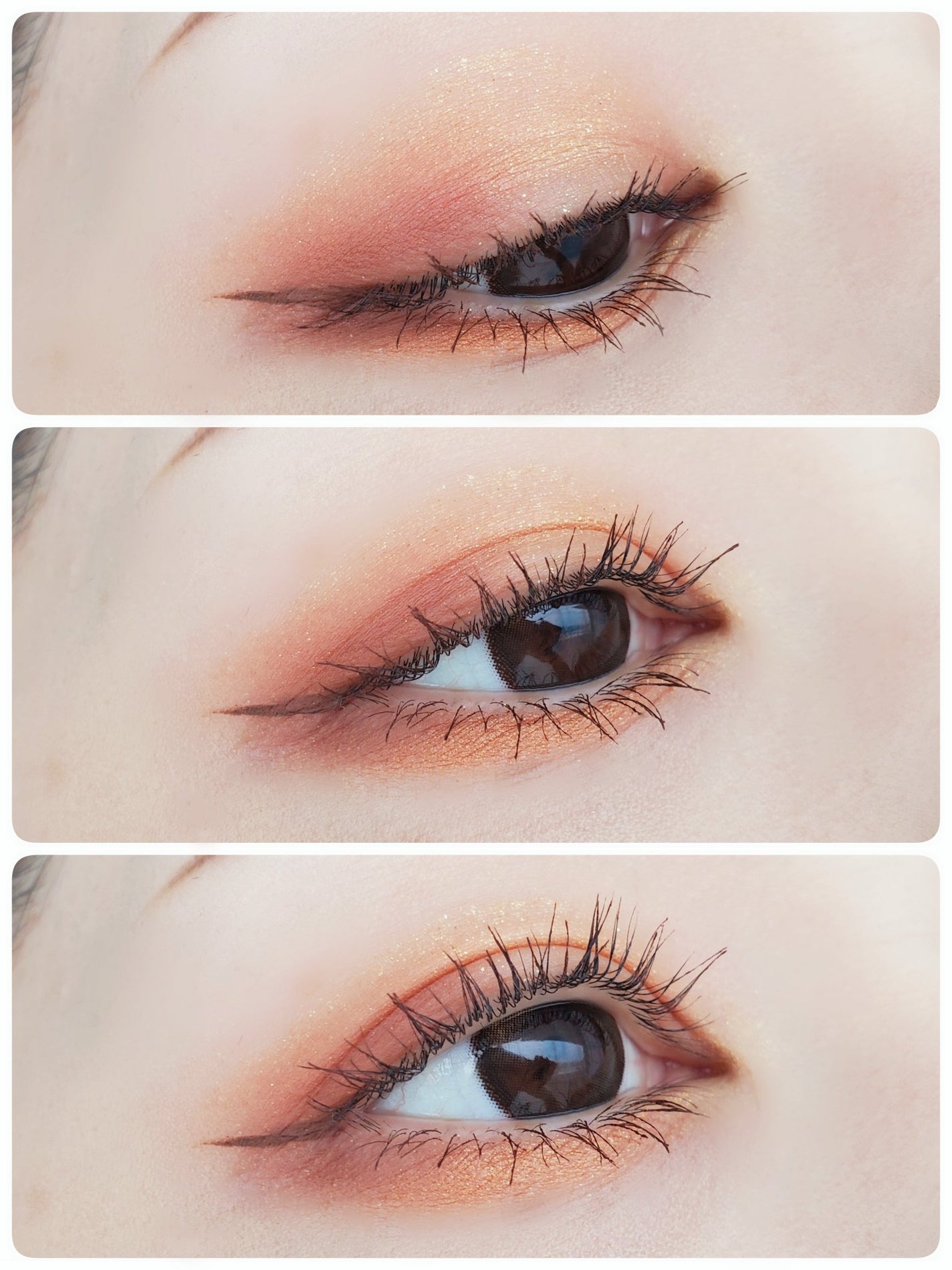 ジュエルアイカラーコレクション/Armuje/アイシャドウパレットを使ったクチコミ(4枚目)