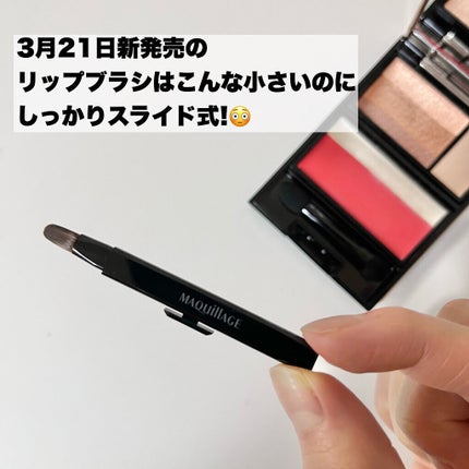 カスタマイズケース/マキアージュ/その他化粧小物を使ったクチコミ(9枚目)