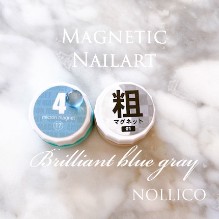 4ミクロンマグネット(コンテナ)/ネイル工房/ジェルネイルを使ったクチコミ（1枚目）