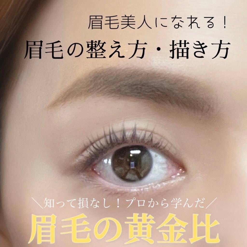 ノーズ&アイブロウパウダー/CEZANNE/パウダーアイブロウを使ったクチコミ(1枚目)