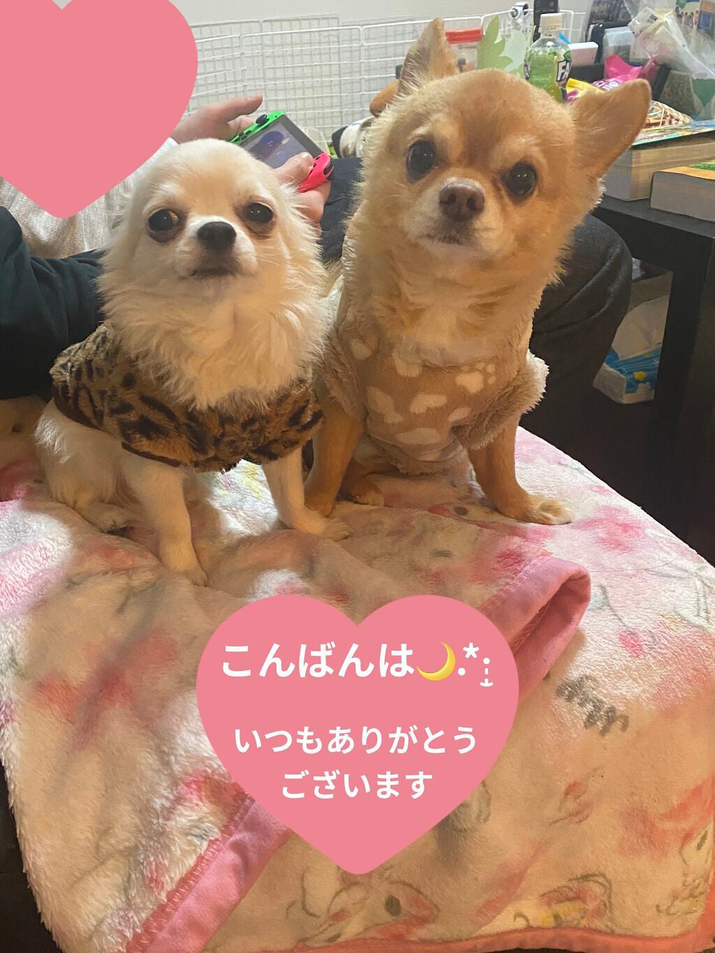 雪見にごり湯の宿/いい湯旅立ち/無機塩系入浴剤を使ったクチコミ(4枚目)