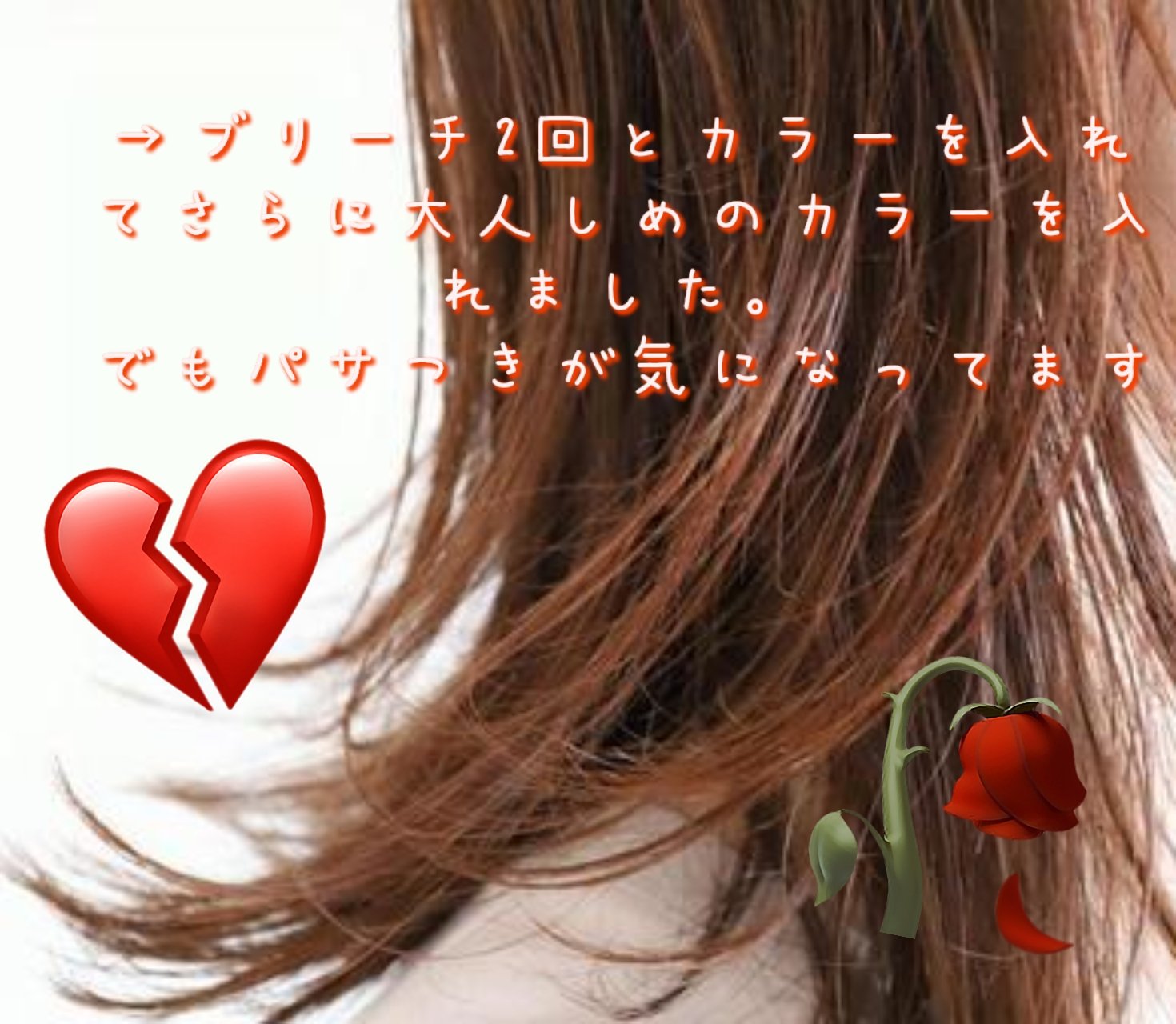 オイルインシャンプー／オイルインコンディショナー (グロス＆リペア)/ディアボーテ/市販シャンプーを使ったクチコミ（2枚目）