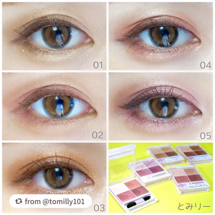 シルキースフレアイズ/キャンメイク/アイシャドウパレットを使ったクチコミ(4枚目)