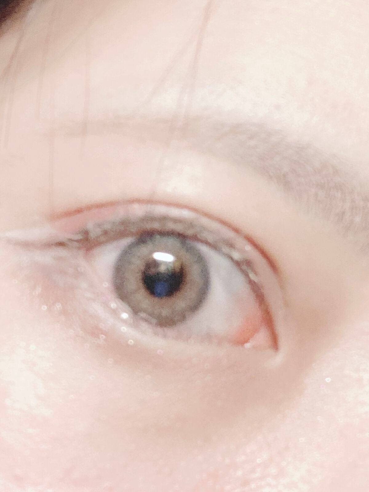 ラッシュ&アイブロウマスカラ/KIREI FACTORY/マスカラを使ったクチコミ(1枚目)