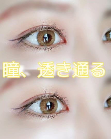 Melia gray/MooN/カラーコンタクトレンズを使ったクチコミ(1枚目)