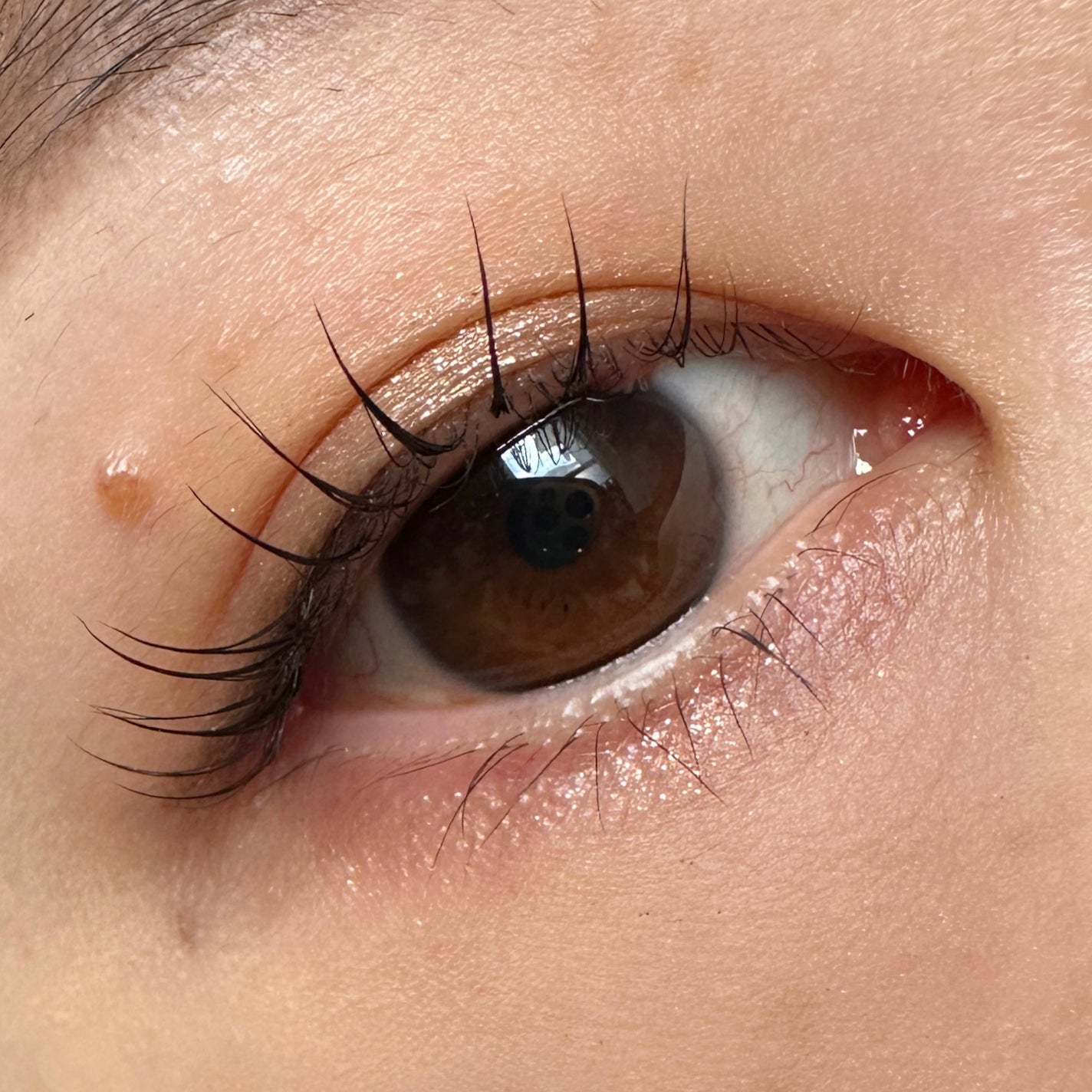 クチュール ミニ クラッチ/YVES SAINT LAURENT BEAUTE/アイシャドウパレットを使ったクチコミ(2枚目)