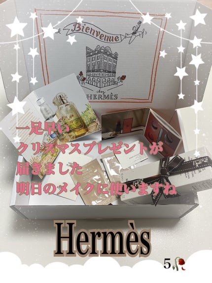 エルメス プラン エア プードル エクラ グロー/エルメス/プレストパウダーを使ったクチコミ(1枚目)