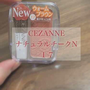 める☺︎︎ on LIPS 「CEZANNEナチュラルチークN17ウォームブラウンテラコッタ..」（1枚目）