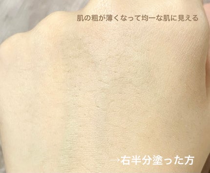 トーンアップ スキン デザイナー/Visée/化粧下地を使ったクチコミ(3枚目)