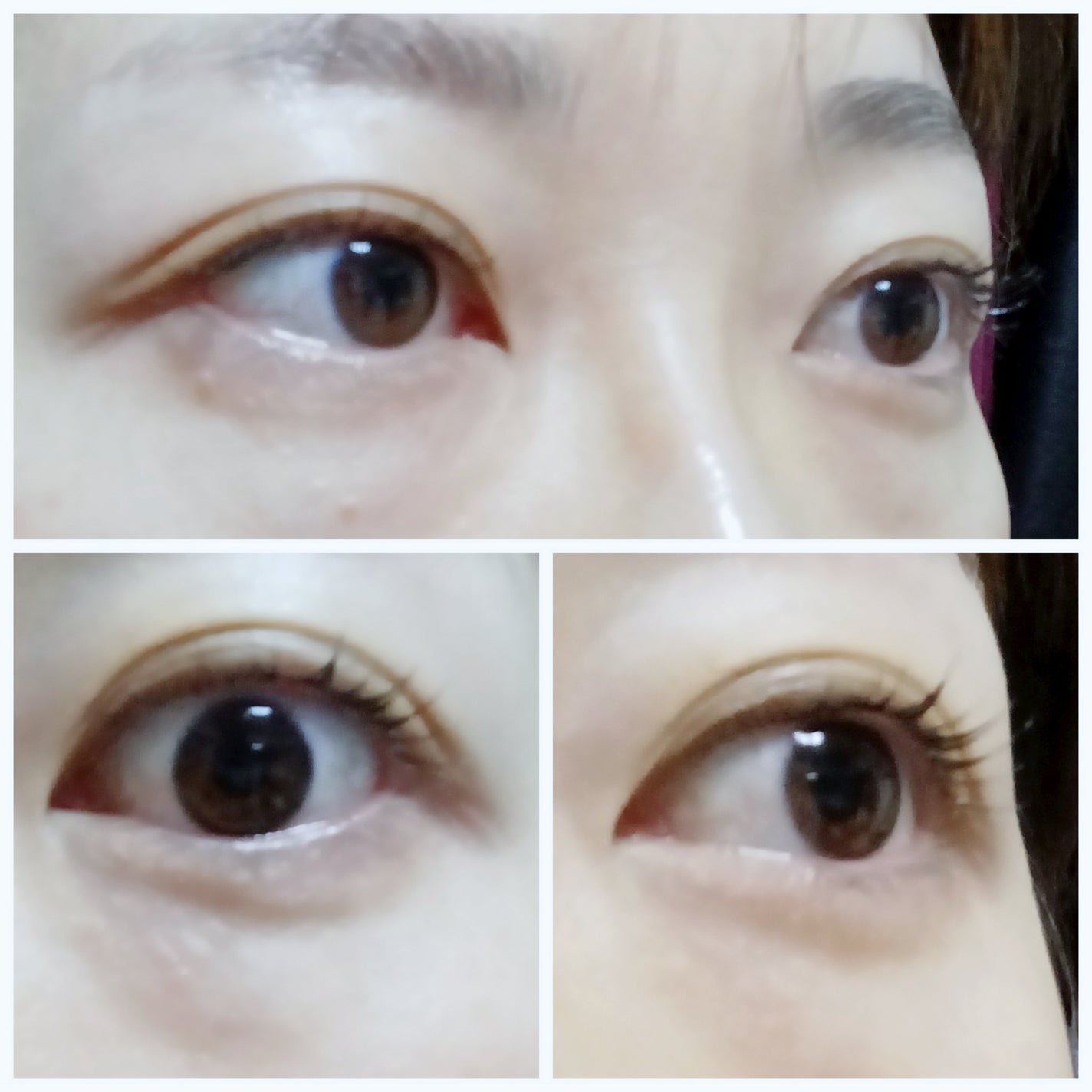 夕夏@フォロバ100 on LIPS 「まつ毛サロンでオススメされて購入しました🗒ᝰ🖋꙳⋆/エルビーラ..」(3枚目)