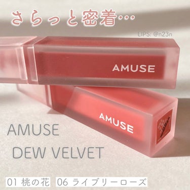 デュー ベルベット 06ライブリーローズ/AMUSE/口紅を使ったクチコミ（1枚目）