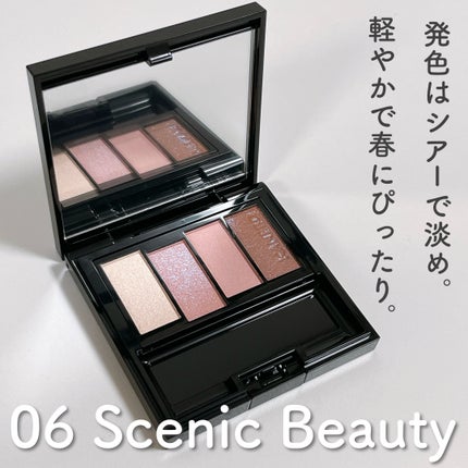 カラードシャドウ/KANEBO/アイシャドウパレットを使ったクチコミ(6枚目)