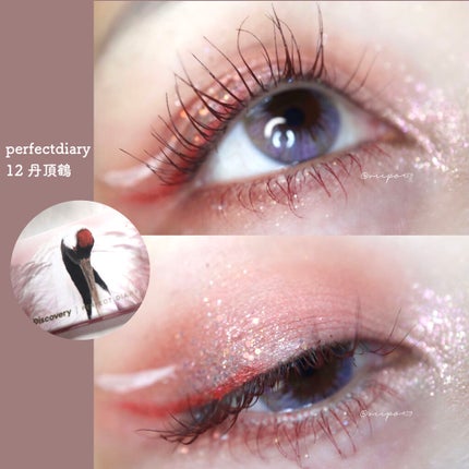 エクスプローラ12色 動物アイシャドウパレット/PERFECT DIARY/アイシャドウパレットを使ったクチコミ(1枚目)