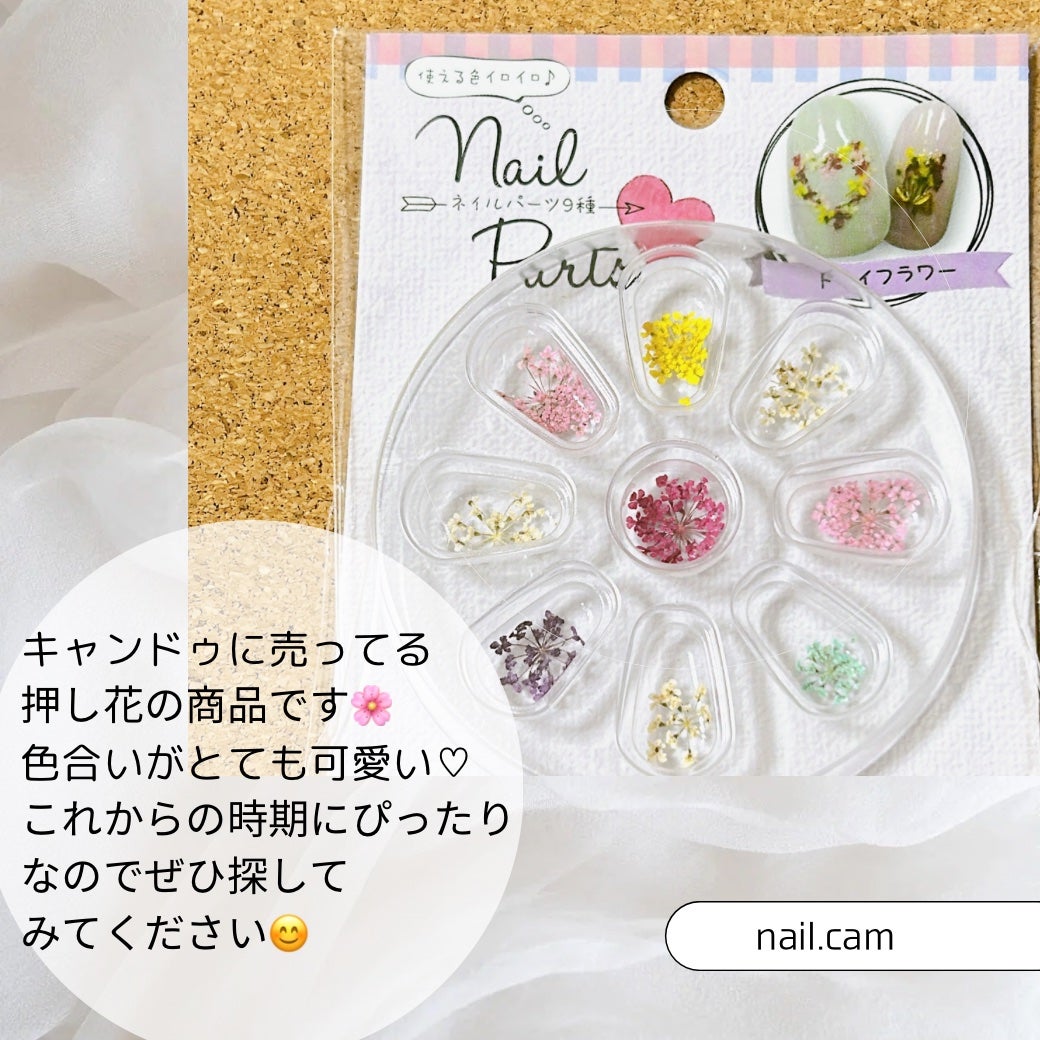 nail_c_tip フォロバ on LIPS 「前回紹介した花はシールでしたが今回は押し花を買ってきました🫶9..」(1枚目)