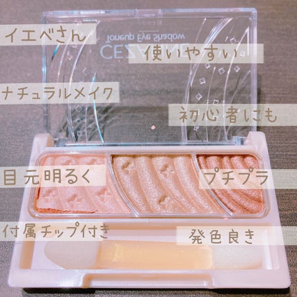 トーンアップアイシャドウ/CEZANNE/アイシャドウパレットを使ったクチコミ(2枚目)