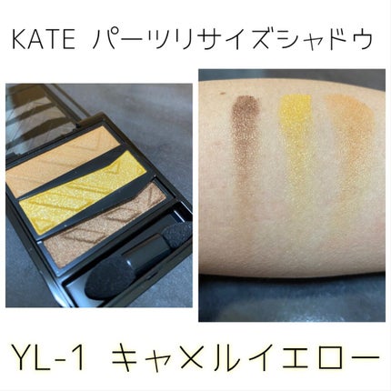 パーツリサイズシャドウ/KATE/アイシャドウパレットを使ったクチコミ(4枚目)