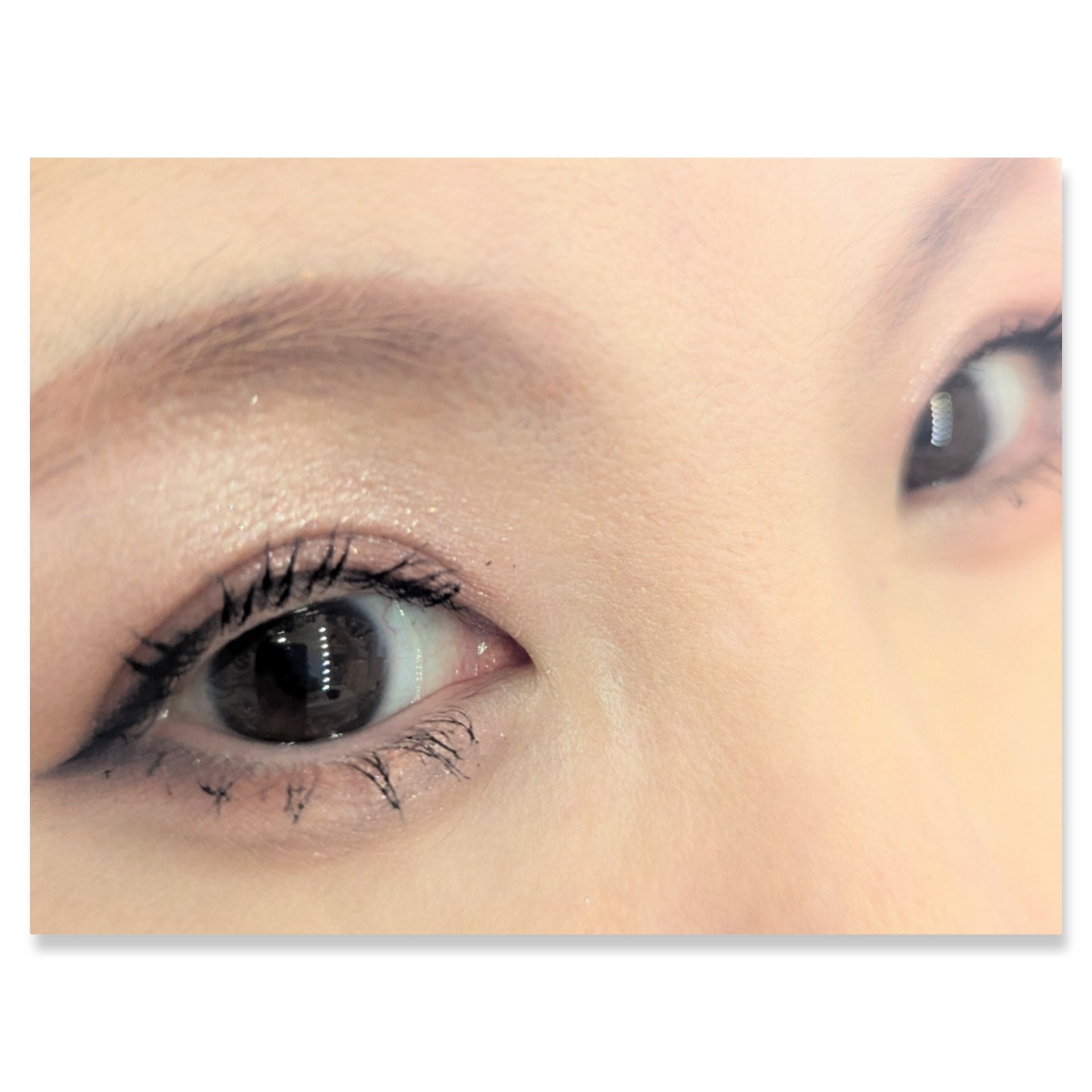 長相思シリーズ 9色アイシャドウパレット C08 モランディ/CATKIN/アイシャドウパレットを使ったクチコミ（2枚目）