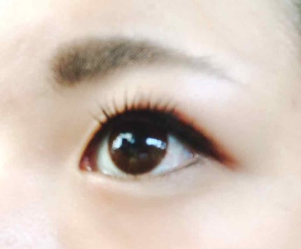 【旧品】パーフェクトエクステンション マスカラ/D-UP/マスカラを使ったクチコミ(3枚目)