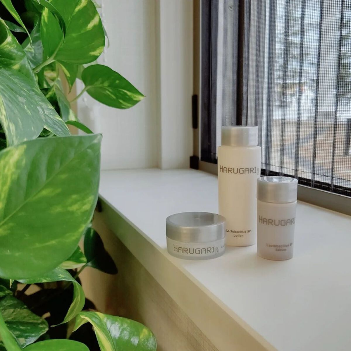 プレミアムキット/HARUGARI/トライアルキットを使ったクチコミ（1枚目）