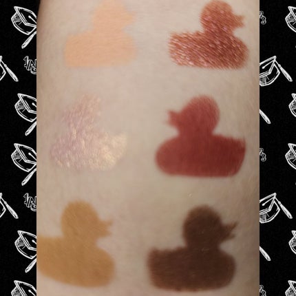 エクスプローラ12色 動物アイシャドウパレット/PERFECT DIARY/アイシャドウパレットを使ったクチコミ(7枚目)