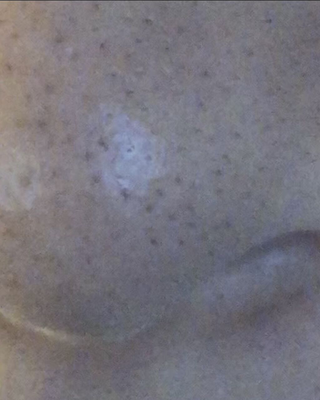 トランスペアレントフィニッシュパウダー/キャンメイク/プレストパウダーを使ったクチコミ（3枚目）