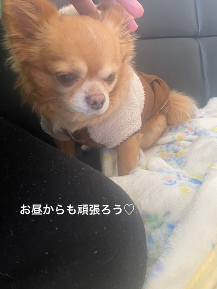 クリーミーキャラメルマキアート/スターバックス/ドリンクを使ったクチコミ(3枚目)