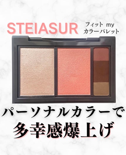フィット my カラーパレット/STEIASUR(ステイアシュール)/マルチパレットを使ったクチコミ(1枚目)