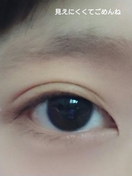 UR GLAM EYEBROW POWDER/U R GLAM/パウダーアイブロウを使ったクチコミ(5枚目)