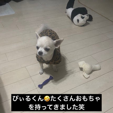 ダヴ ふわとろクリーミースクラブ ザクロ&シアバター/ダヴ/ボディスクラブを使ったクチコミ(7枚目)