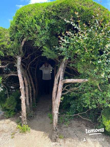 りな on LIPS 「八幡浜市にある王子の森公園行ってきたよ!!
木のトンネル!!
..」(5枚目)