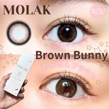 🌷MOLAK (モラク)🌷
ブラウンバニー


ースペックー
DIA	14.2mm
着色直径 13.6mm
BC	8.6mm
含水率	55％



宮脇咲良ちゃんプロデュースのMOLAK (モラク)から