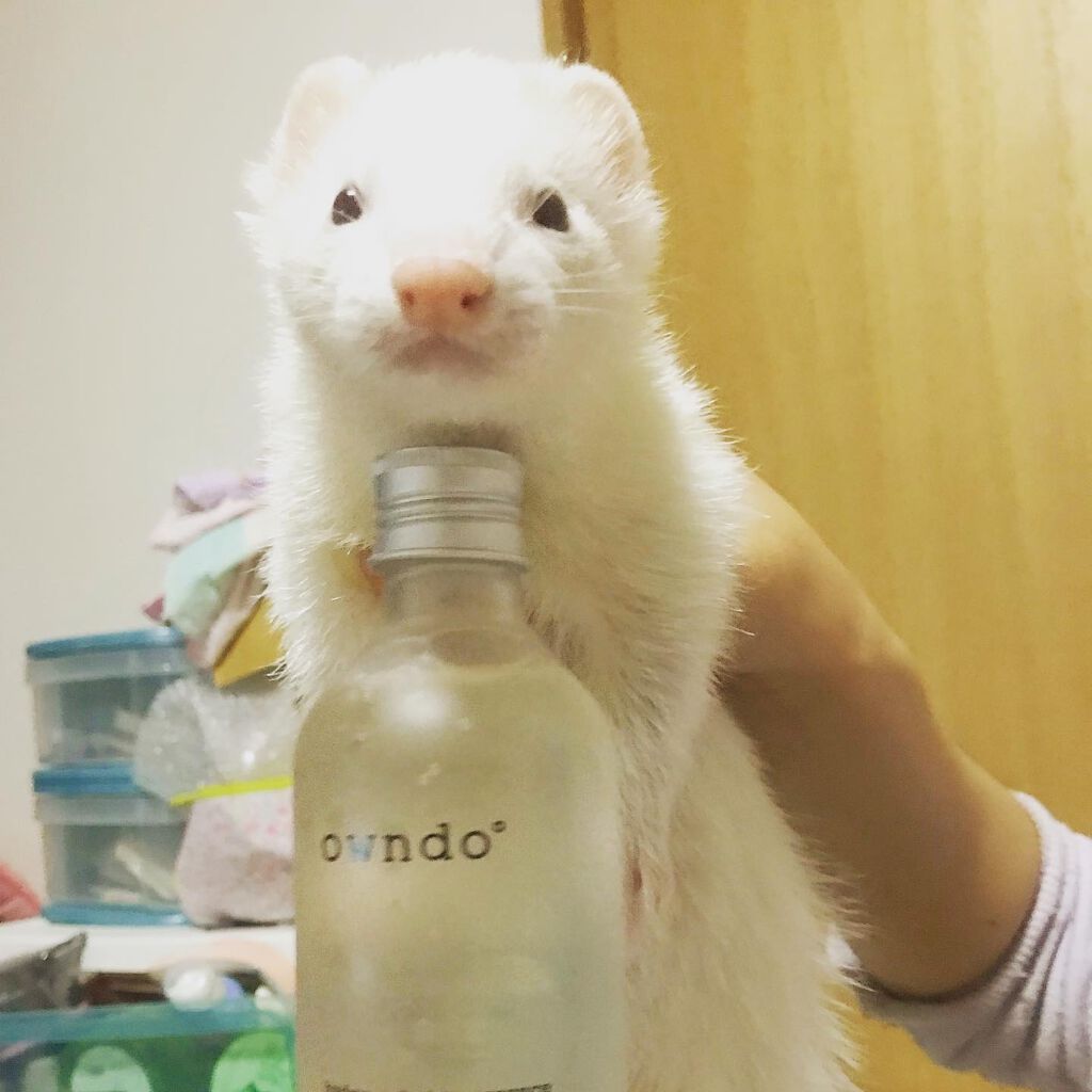 ハイドロCエッセンス/owndo°/美容液を使ったクチコミ（3枚目）