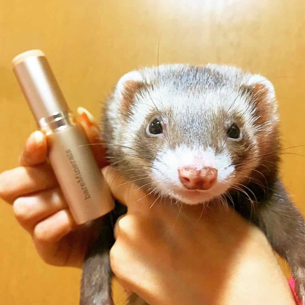 CR ハイドレイティング ファンデーション スティック/bareMinerals/その他ファンデーションを使ったクチコミ（1枚目）