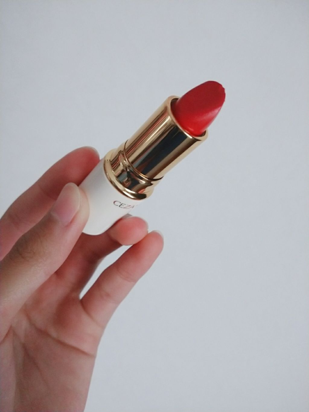 ラスティング リップカラーN/CEZANNE/口紅を使ったクチコミ（3枚目）