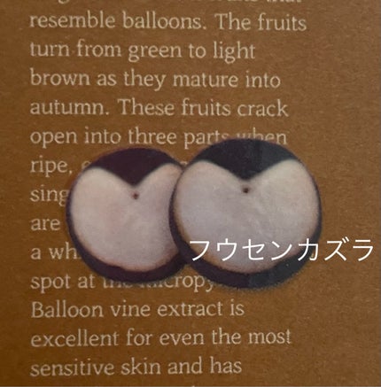 エナジーアクティブセラム/3Words 8Letters/美容液を使ったクチコミ(2枚目)