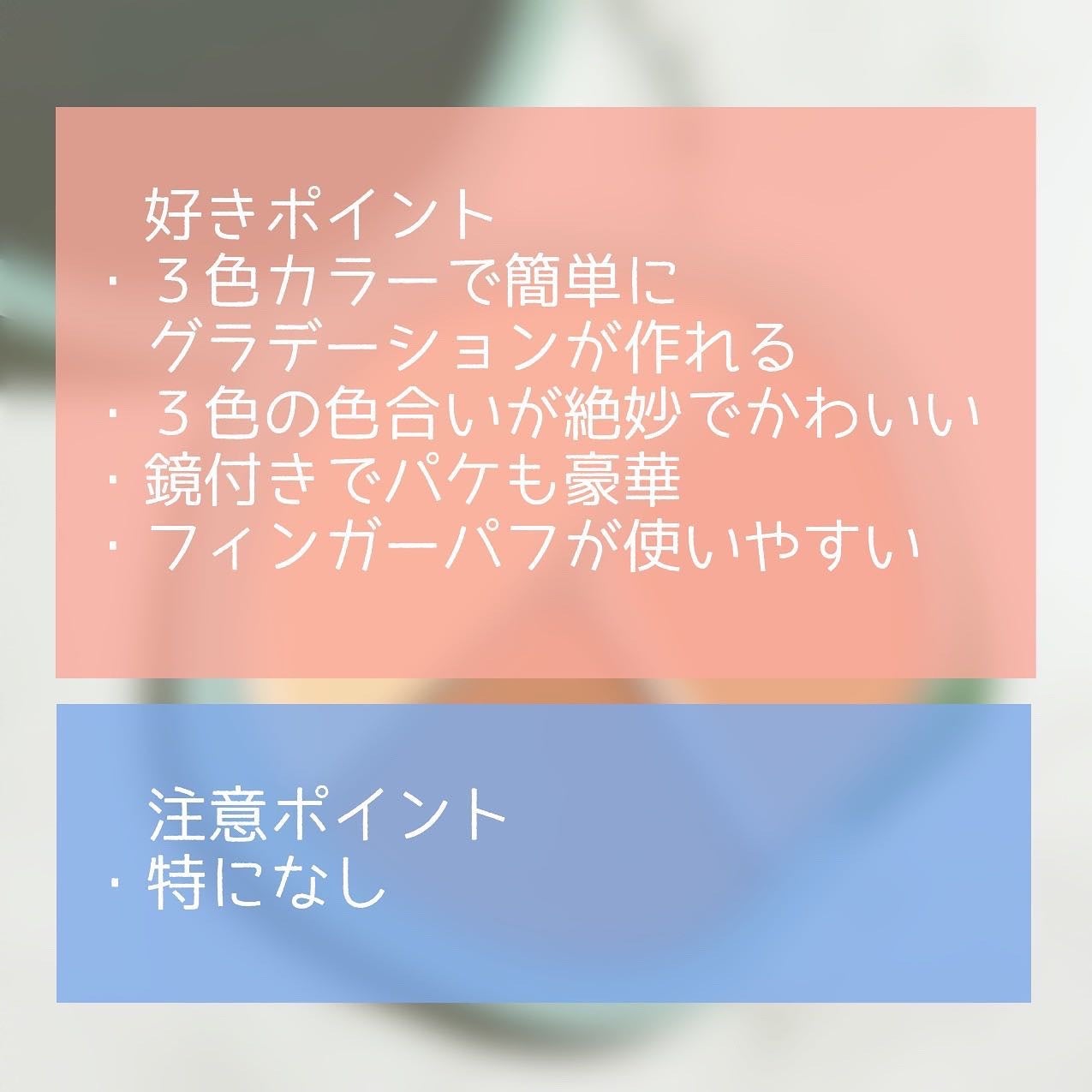 TIMAGE 3色チークパレット/TIMAGE/パウダーチークを使ったクチコミ(6枚目)