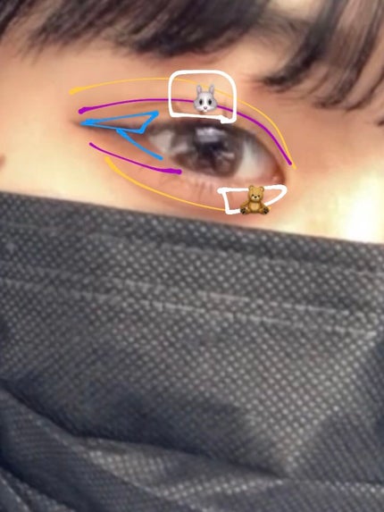 プロ アイ パレット/CLIO/アイシャドウパレットを使ったクチコミ(3枚目)