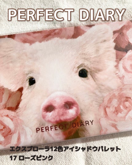 エクスプローラ12色 動物アイシャドウパレット/PERFECT DIARY/アイシャドウパレットを使ったクチコミ(1枚目)