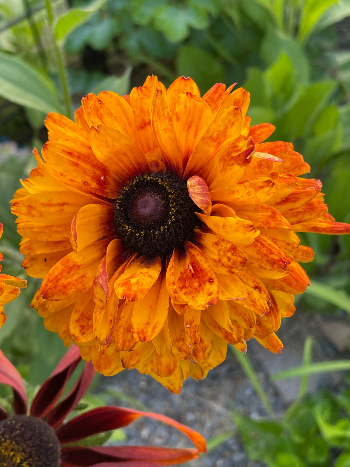 ジューシーラスティングティント/rom&nd/リップティントを使ったクチコミ(3枚目)