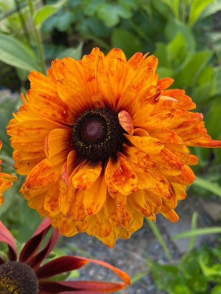 ジューシーラスティングティント/rom&nd/リップティントを使ったクチコミ(3枚目)