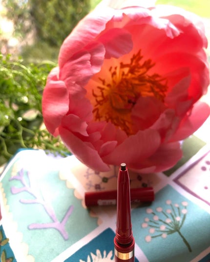 ステイブロウ/Papilio/アイブロウペンシルを使ったクチコミ(2枚目)