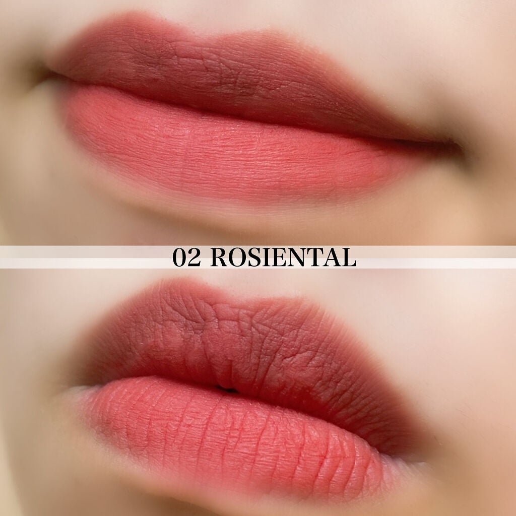 rom&nd ブラーファッジティント/rom&nd/リップティントを使ったクチコミ(6枚目)