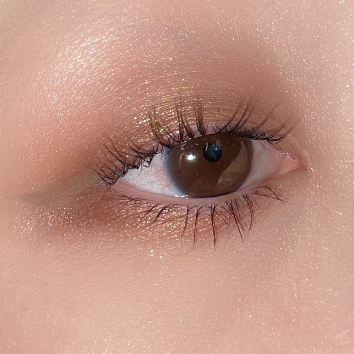 フェイスカラーパレット/チャコット・コスメティクス/アイシャドウパレットを使ったクチコミ（1枚目）