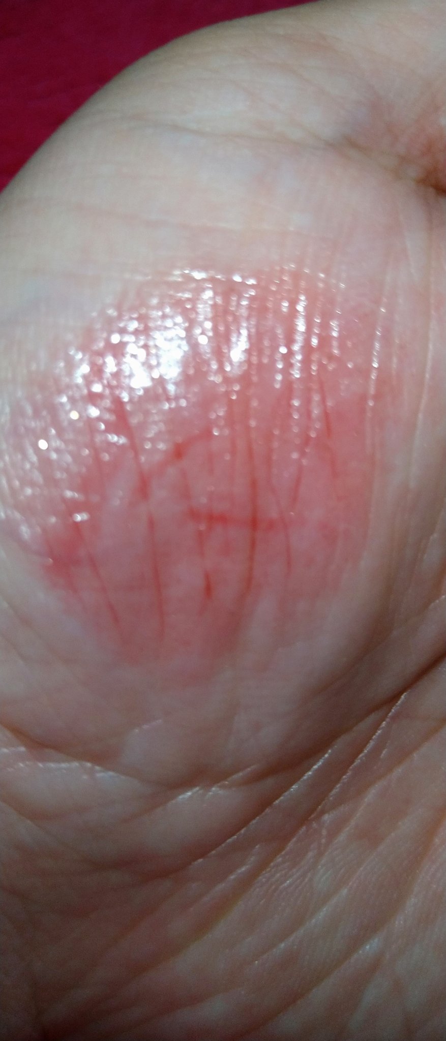 モイスチャー リッチ リップスティック 09 輝赤 -KIAKA/SUQQU/口紅を使ったクチコミ（3枚目）