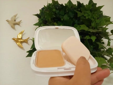 を使ったクチコミ(2枚目)