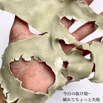 モデリングパック ドクダミ/ONE THING/シートマスク・パックを使ったクチコミ(6枚目)