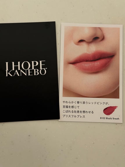 カネボウ ルージュスターブリーズ/KANEBO/口紅を使ったクチコミ(5枚目)