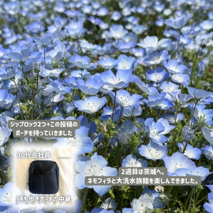 Rin on LIPS 「2週連続お泊まりと仕事の異動がかぶった🫠ズボラ会社員の旅行に持..」(5枚目)