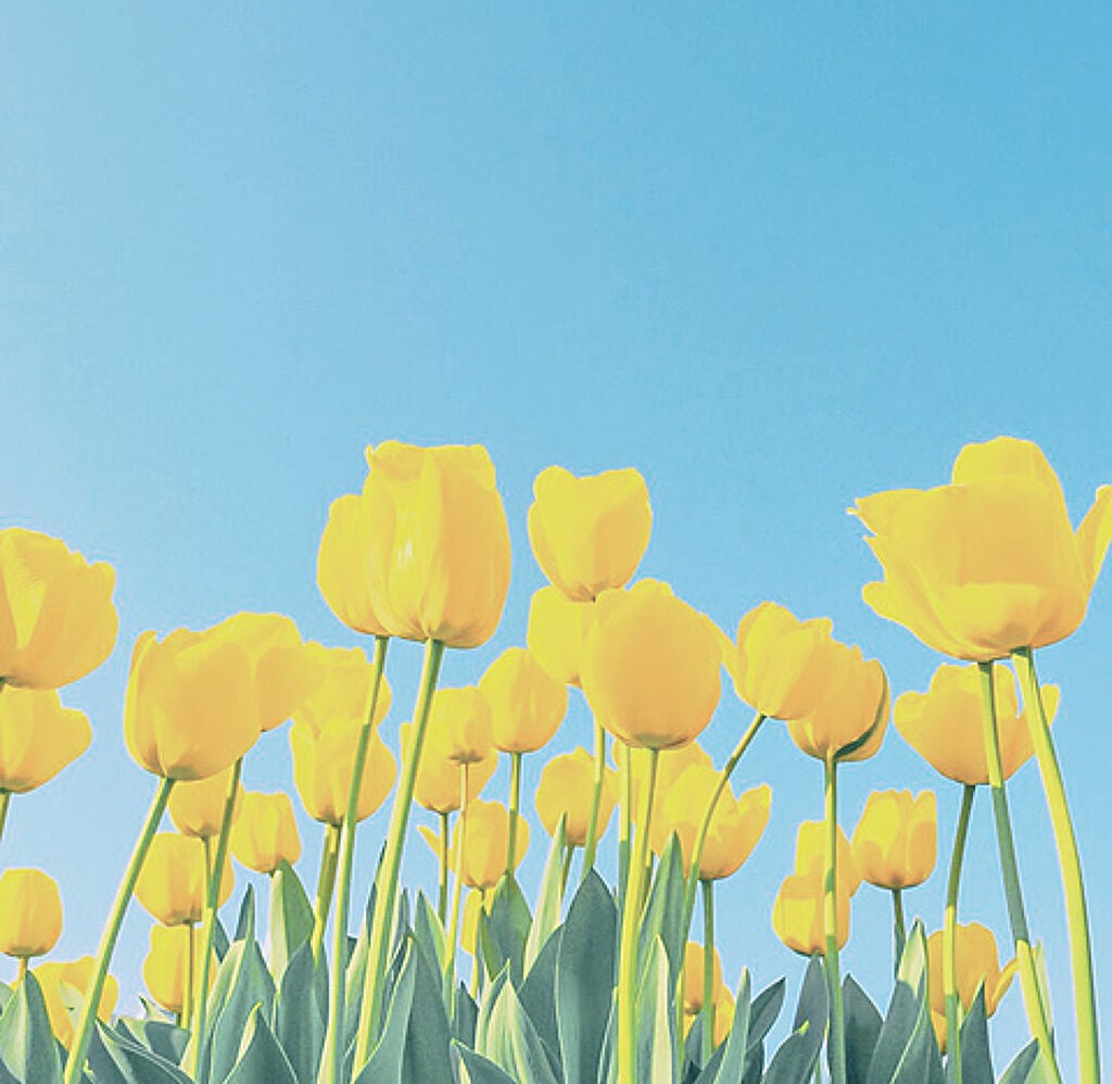 薬用しみ集中対策 プレミアム美容液/メラノCC/美容液を使ったクチコミ(5枚目)